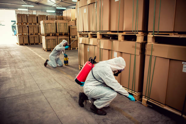 Best Flea Control Services  in Pittsfield, IL