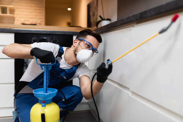 Wildlife Control Services in Pittsfield, IL