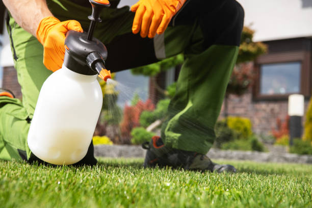 Flea Control Services in Pittsfield, IL