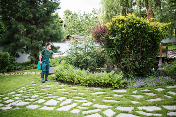 Best Pest Inspection Near Me  in Pittsfield, IL