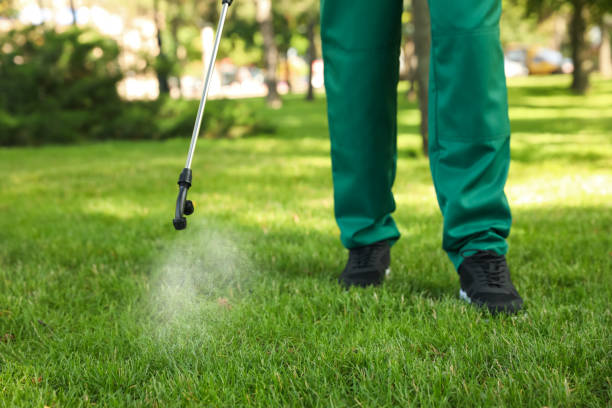 Best Affordable Pest Control Services  in Pittsfield, IL
