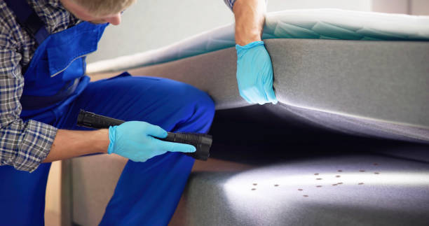 Best Pest Control for Restaurants  in Pittsfield, IL