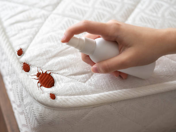 Best Affordable Exterminators  in Pittsfield, IL
