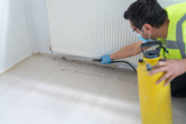Best Pest Prevention Services  in Pittsfield, IL